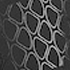 Dragon Scale 