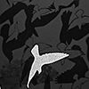Fly Black