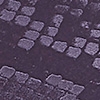 Scalon Purple
